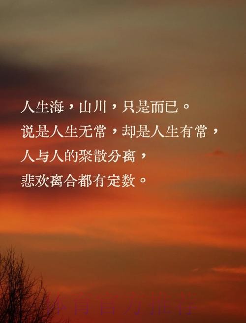 齐祖:为了所有人好有些时刻要留下 有时就得离开 齐祖:为了所有人好有些时刻要留下 有时就得离开